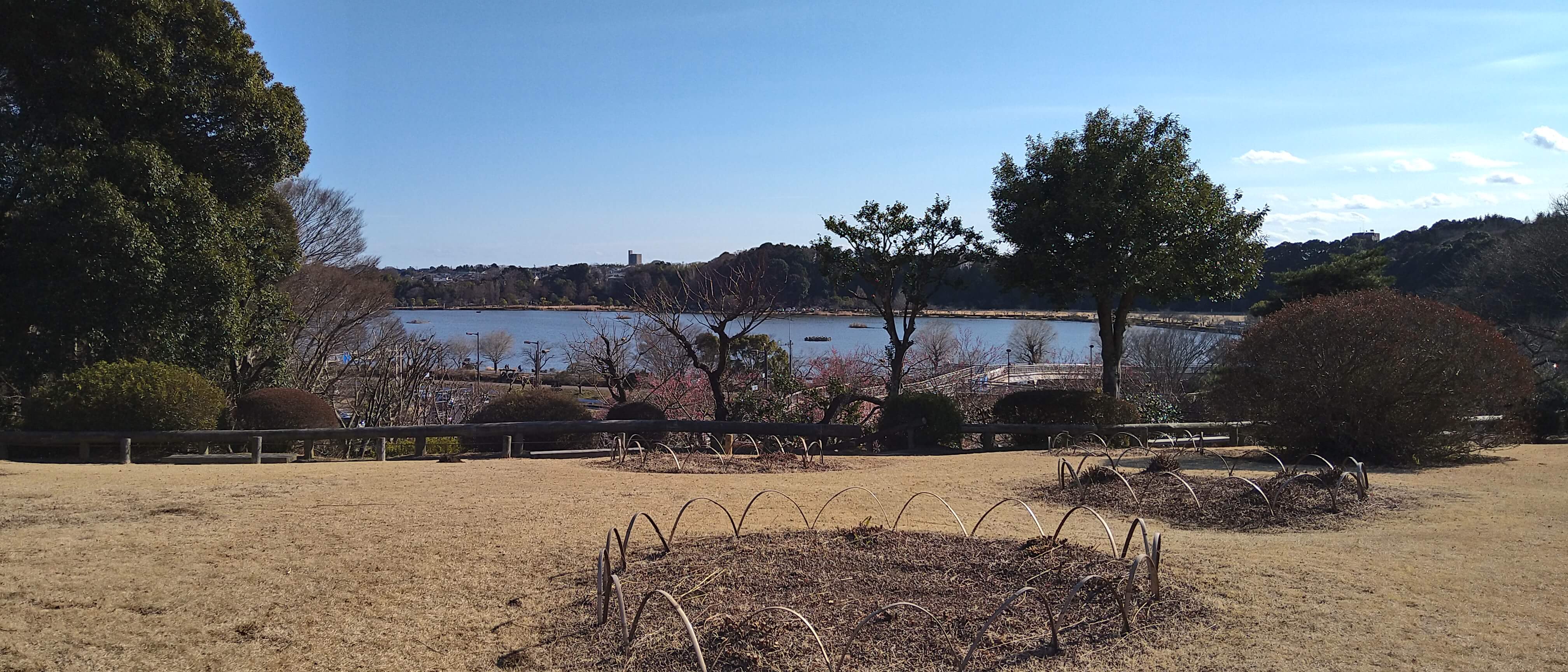 偕楽園からの千波湖
