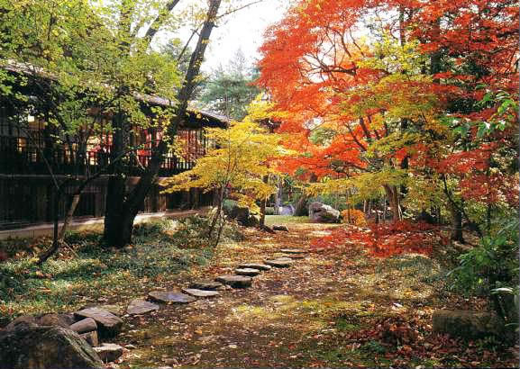 紅葉