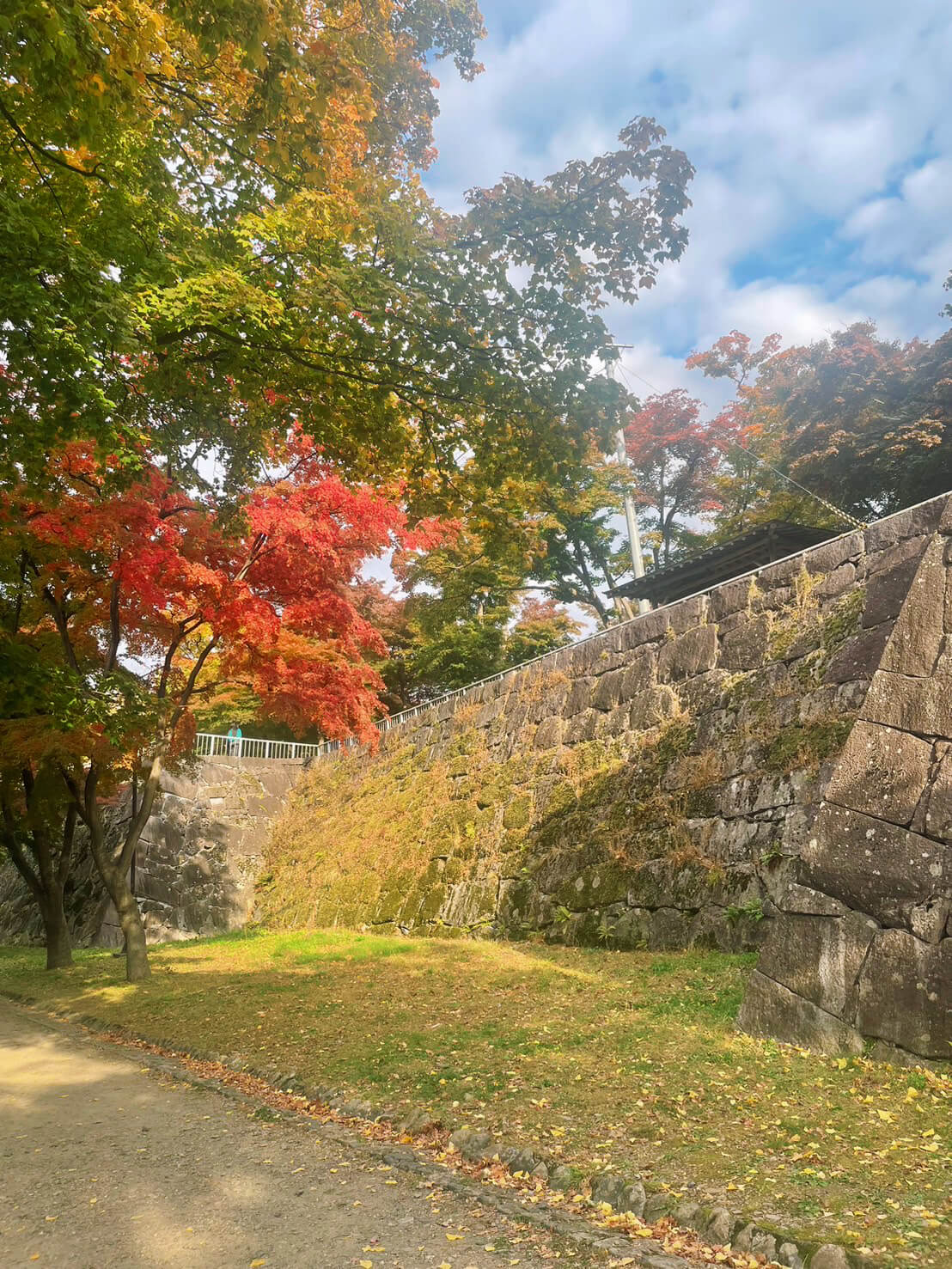 盛岡城跡公園(岩手公園)