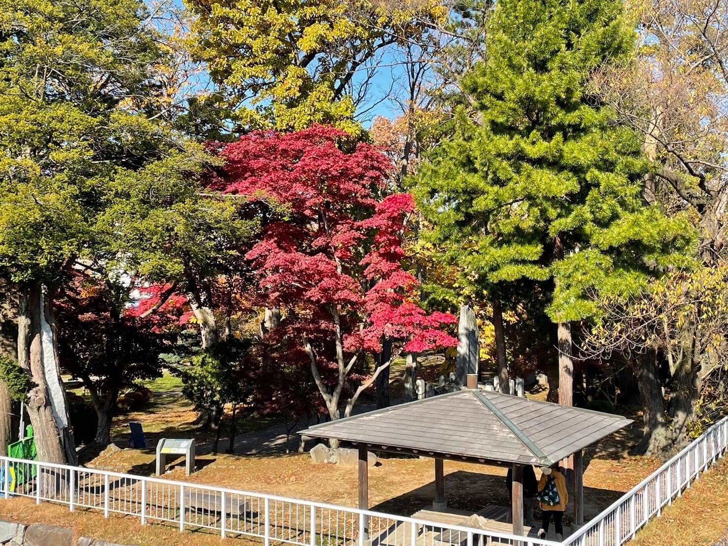盛岡城跡公園(岩手公園)