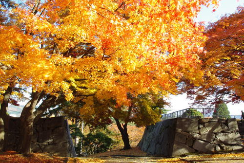 盛岡城跡公園(岩手公園)