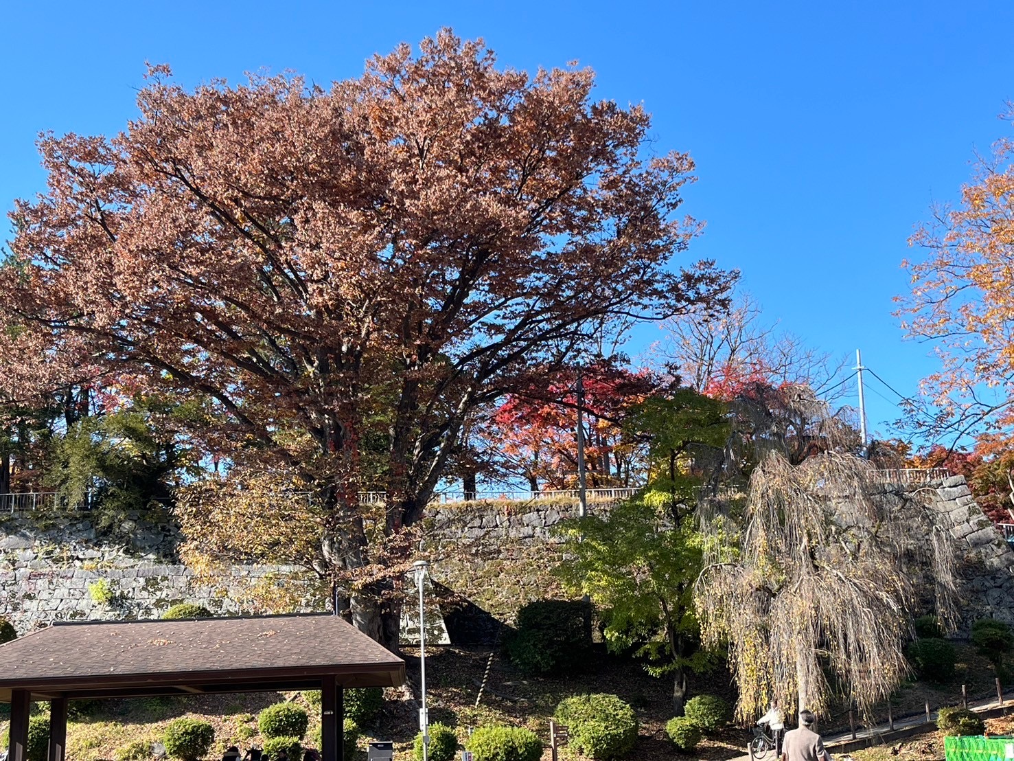 盛岡城跡公園(岩手公園)