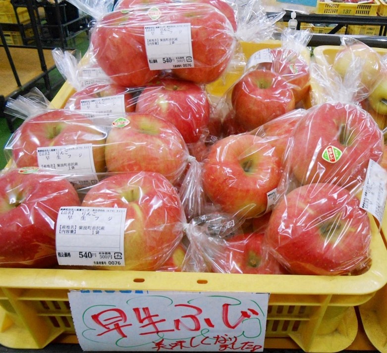 早生フジ