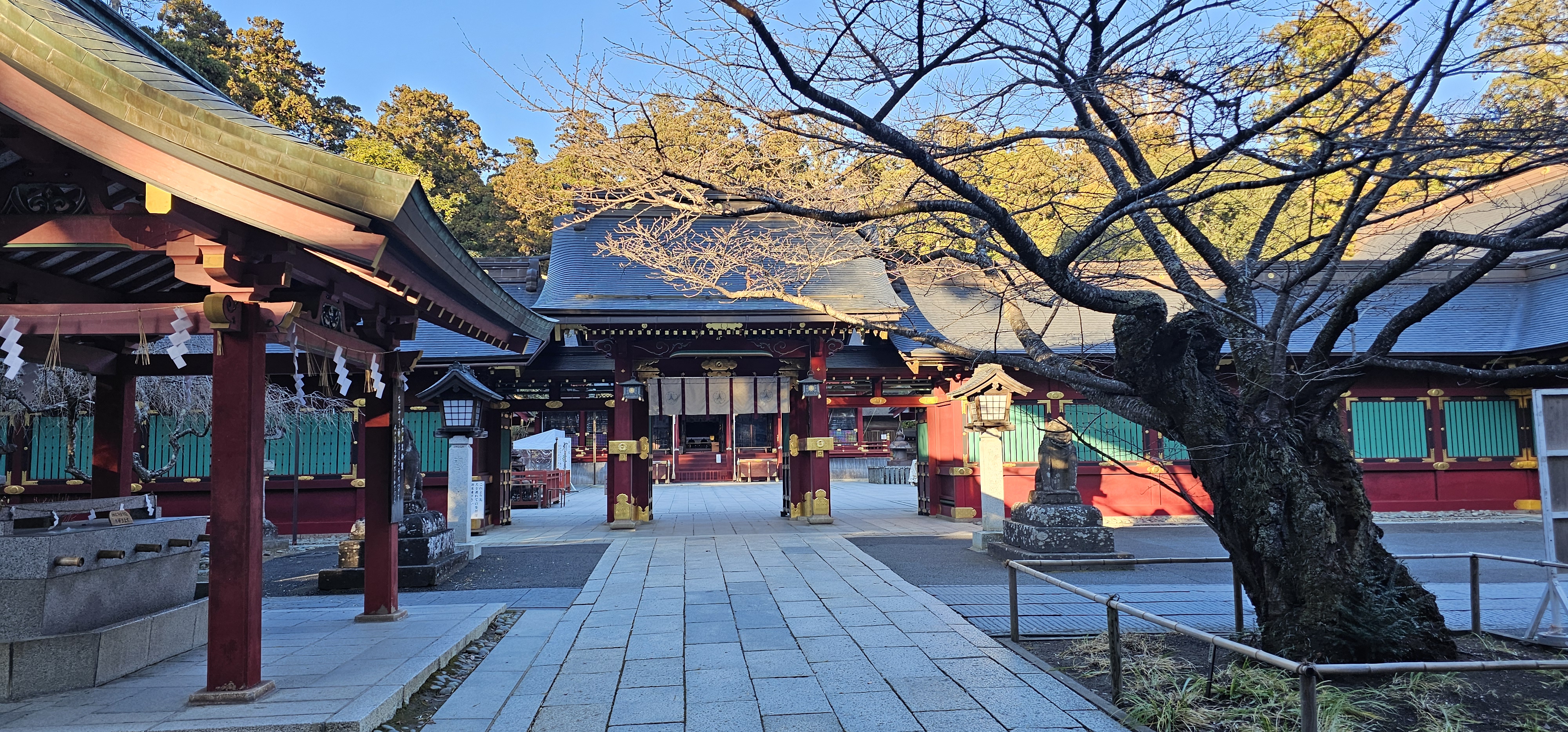 唐門