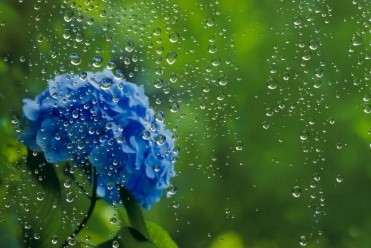 梅雨